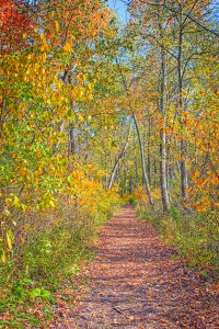 Bailly Trail in Autumn