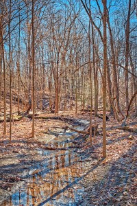Creek in February