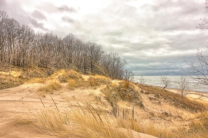 Dune in December