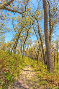 Trail Three in May