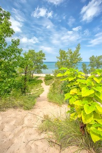 Dune Trail to Lake at End of Summer