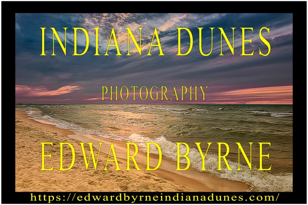 Indiana Dunes by Edward Byrne