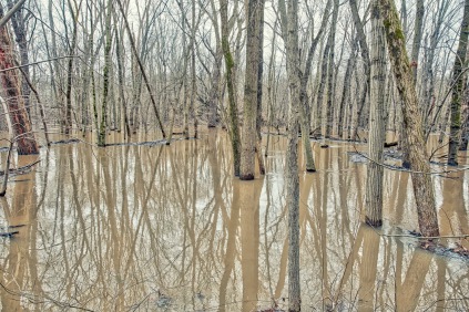 February Flooding 1 sm