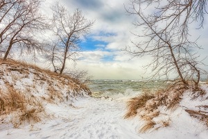 Path to Lake in Winter